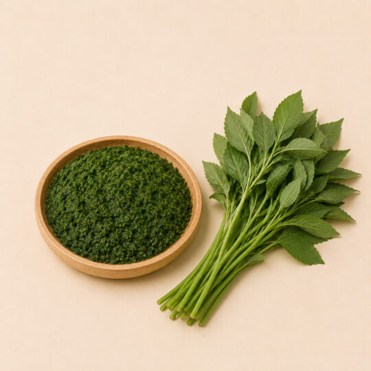 MOLOKHIA