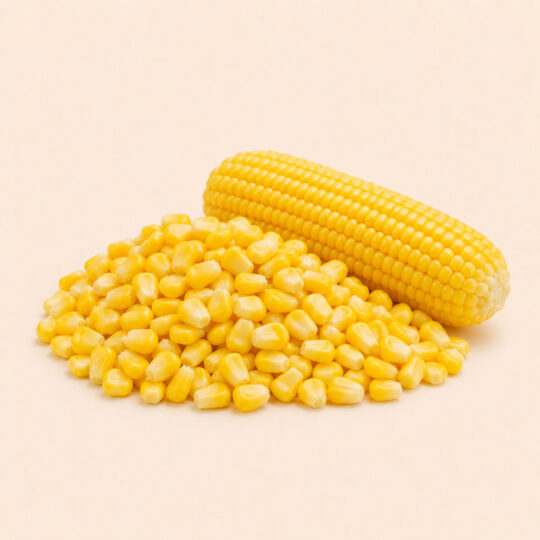 Corn